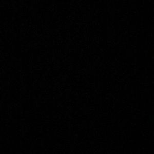 Meet your Posher, Tanner